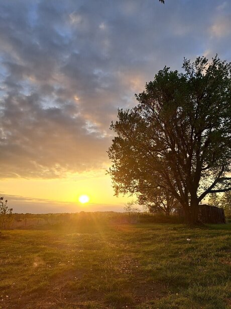 FunWFreckles best actress gallery