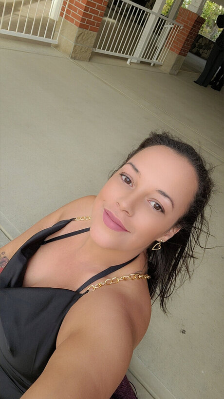 Silky star hd images