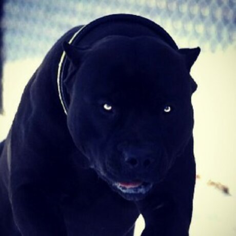 Evildarkd k nude model photo