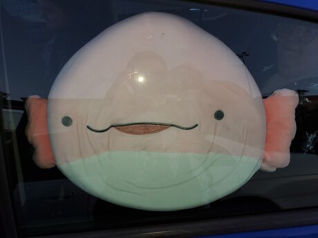 Achu Blesumi model gallery