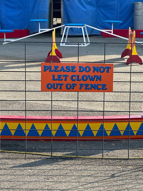 NAiVES star pretty pic