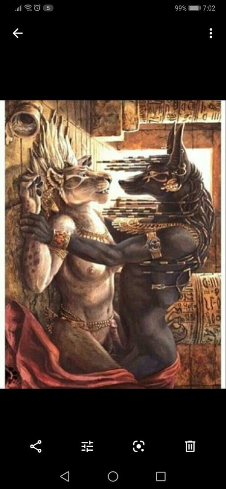 RassT perfect model images