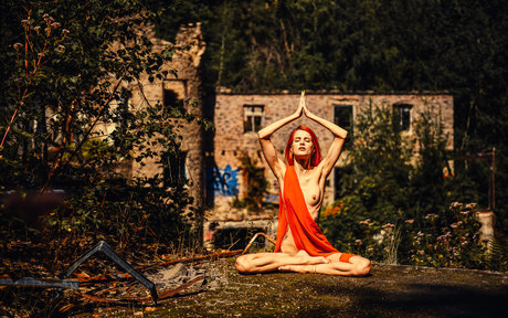 DinaCat high quality star img