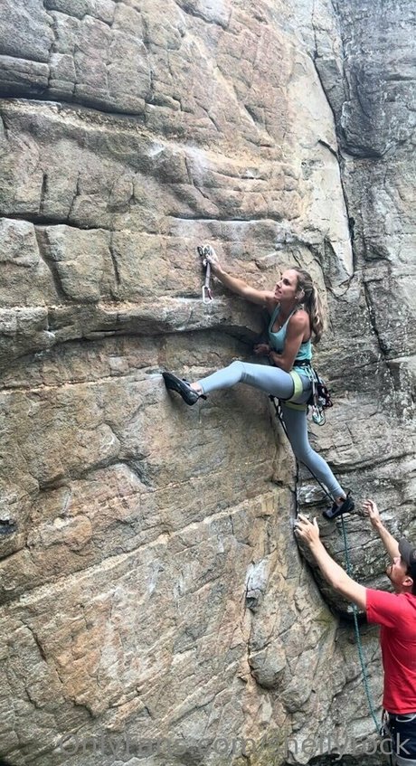 shellyrock hd model img