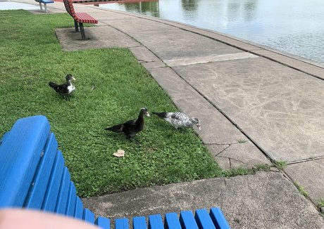 bunnycocoa model perfect photo