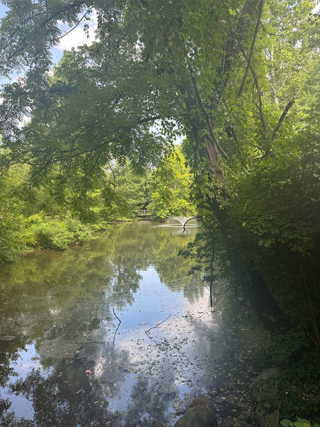 disabled onlyfans porn galleries