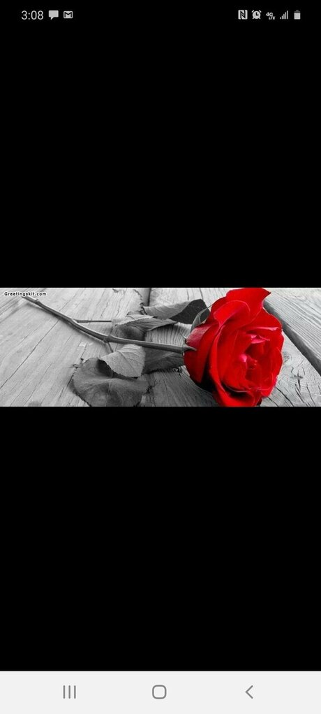 Katie Lady nudes pornstar picture