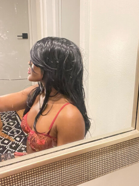 Finch Bird star top galleries