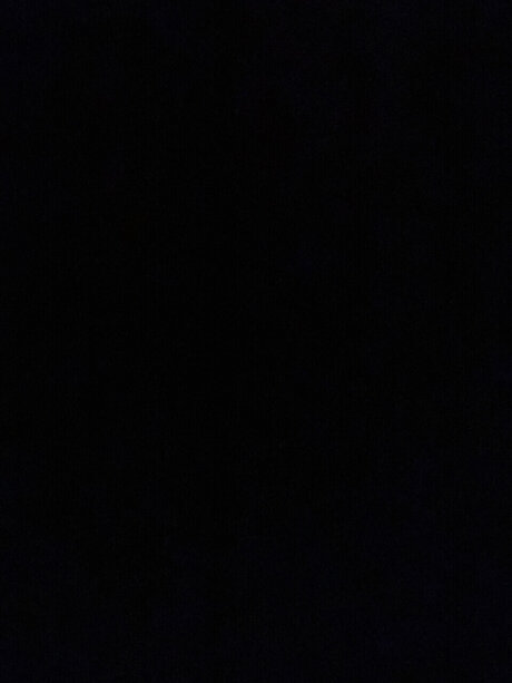 Bailie dianna nude pornstar galleries