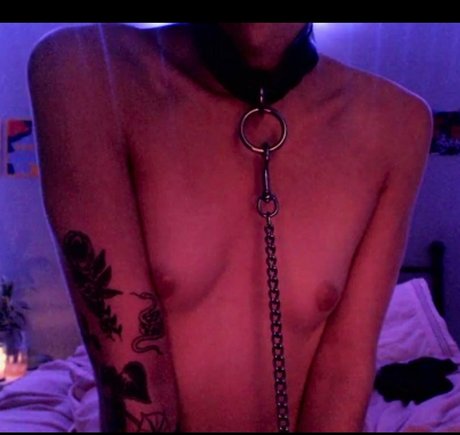 fallen angel xoxo porn model archive