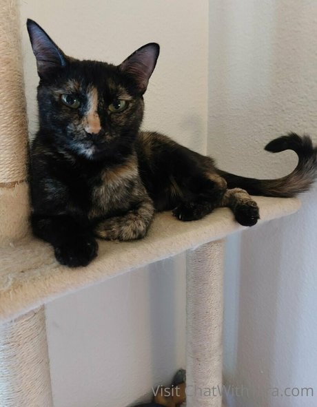 fictionerotica nice model img