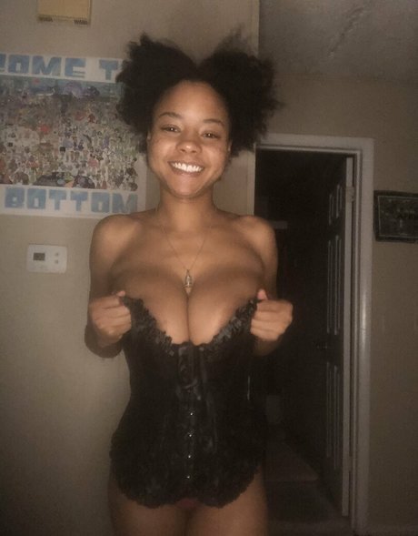 Bush Baby star free pic