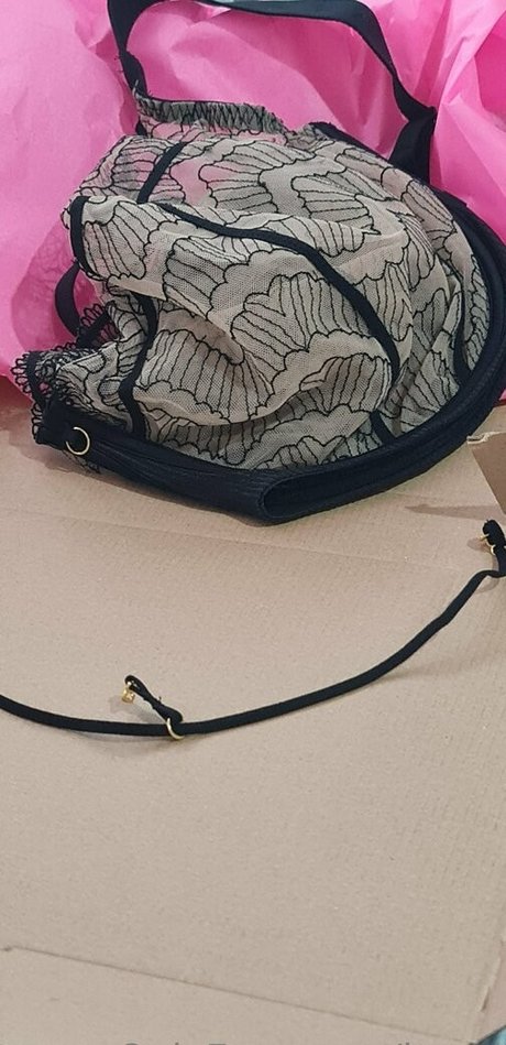 lantti model archive