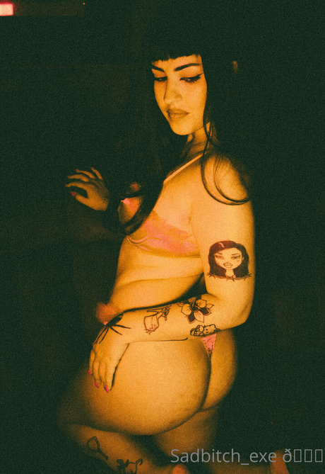 sadbitch exe star free photos