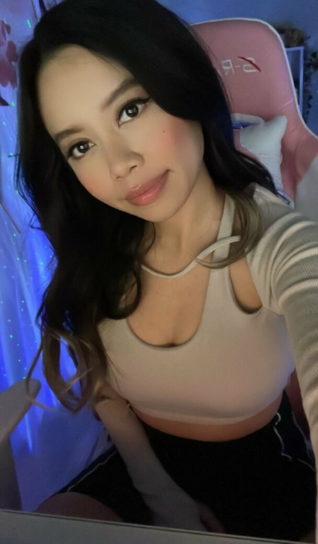 Kimmie D star archive