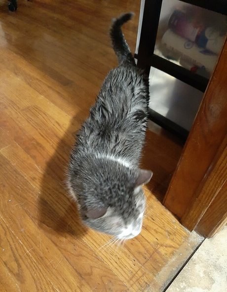 golf onlyfans hd gallery