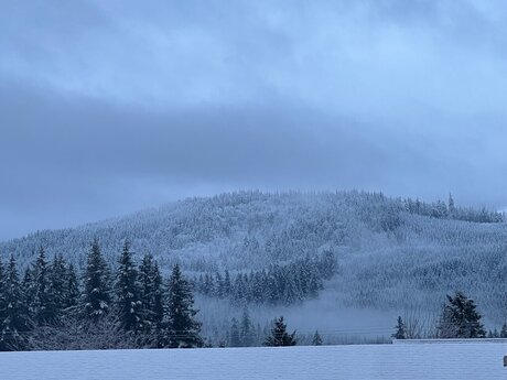 Elchapoleen pornstar beautiful galleries