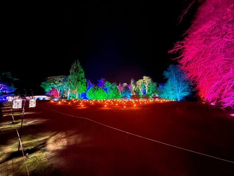 BigBoyLen model erotic galleries