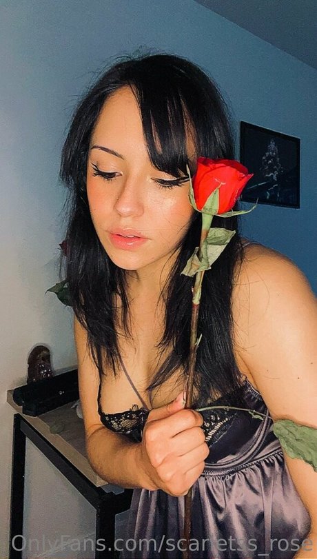 scarletss rose pornographic actress image