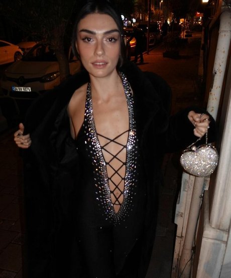 Hazar Erguclu pornstar pretty picture