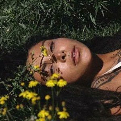 Thefreeelf adult actress gallery