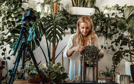 more than palnts model best picture