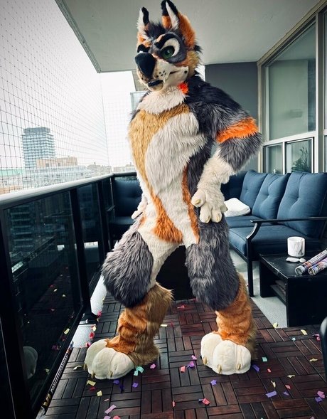 anejo xxx kaii naked star picture