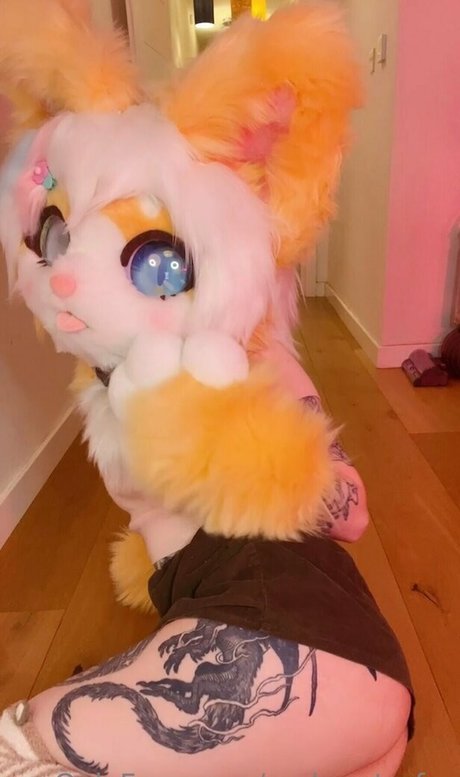 emberstarfur beautiful star galleries