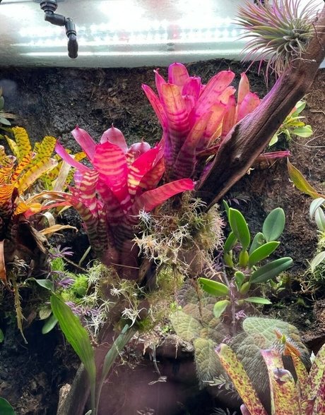 bbc doggystyle onlyfans beautiful nude photo