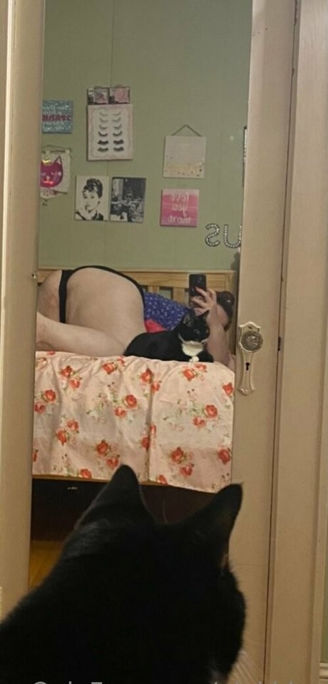 pinkbbw pornstar picture