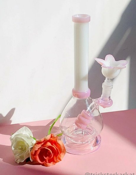 Tricksterkarkat star high quality galleries