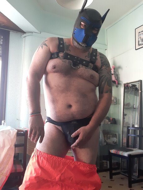 Wingedmonkey star hot pic