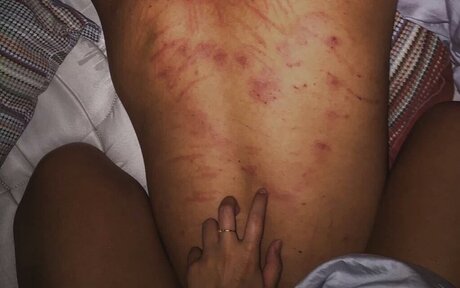 T xico top star photo