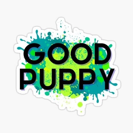 Cricket xxx star picture