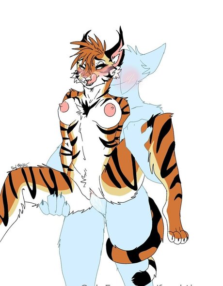 feral tigress star high quality pictures