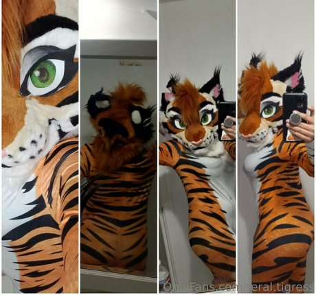feral tigress hd star img