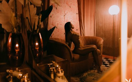 dilf onlyfans pornographic archive