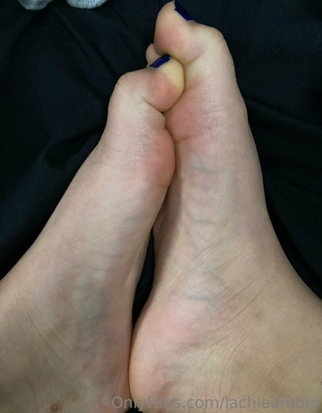 lachleamber pornstar top pics