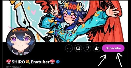 Shiruwu art star pics