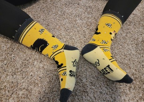 south onlyfans free porn picture