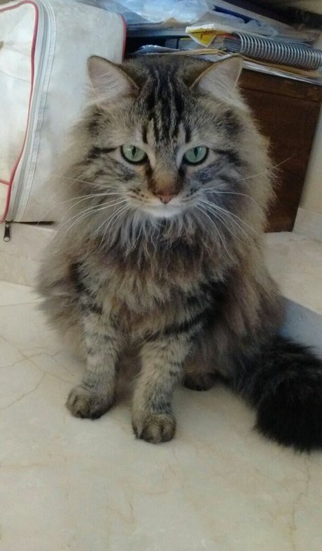 Vera Kaludi model sexy gallery