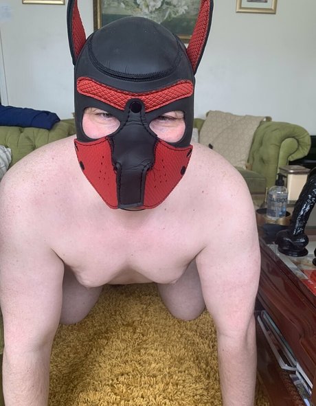 anal dildo onlyfans hot sex pics