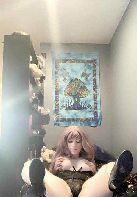 katehatesyouxo high quality star picture