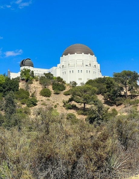 young onlyfans beautiful nude pics