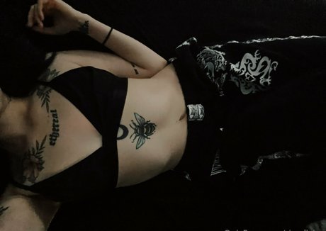 rinsdivine top star galleries