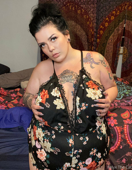felyxthecat pornstar nude pictures