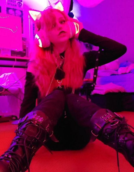 the waaa model gallery