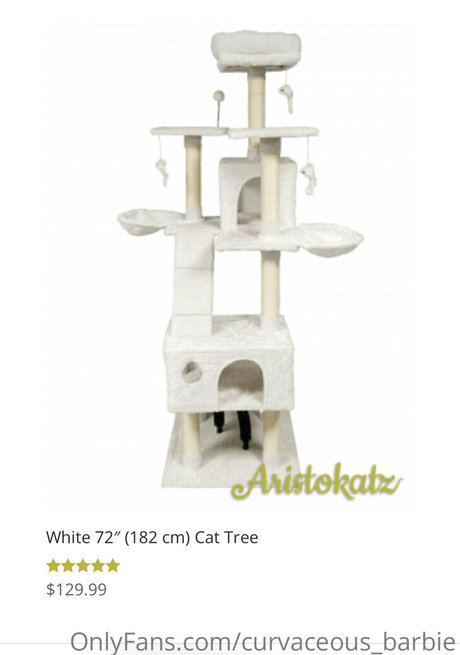 curvaceous barbie perfect pornstar galleries