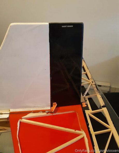 avrilvixxxen model pretty pic