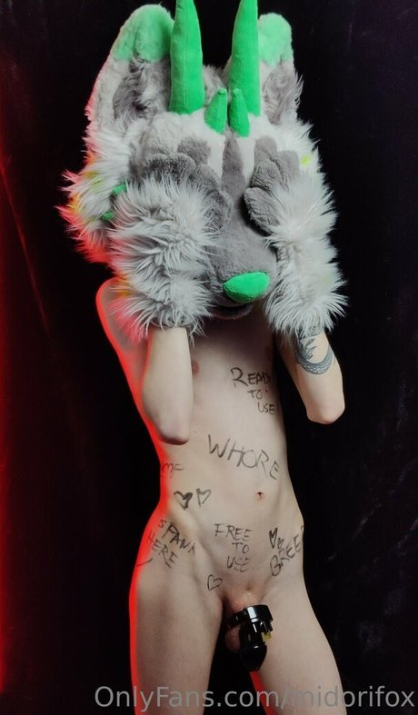 midorifox star free picture